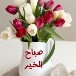 صورة غزل101010, امراه