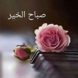 صورة ندى, امراه