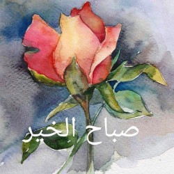 صورة Ameera7788, امراه