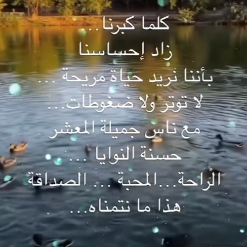 صورة فرح2024, امراه