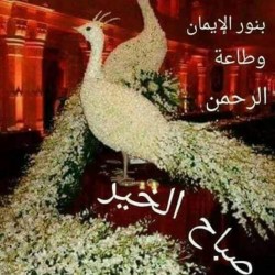 صورة Omaytam, امراه