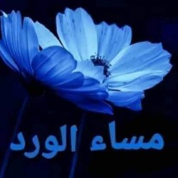 صورة Ashraf, رجل