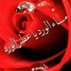 صورة Khalid3366, رجل