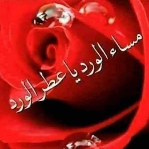 صورة Khalid3366, رجل