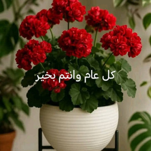 سمر الطاهر الشغيل