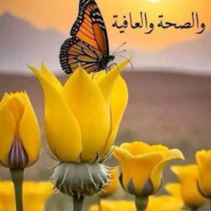 Hacene Mohamed