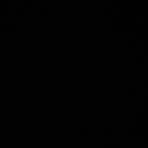 ربى شريف