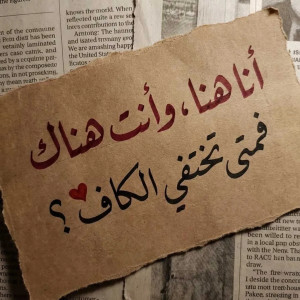 Mohamed mostafa0082