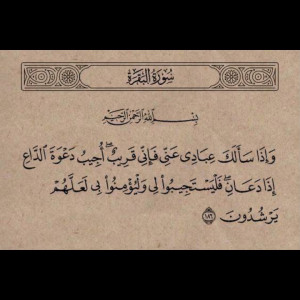عمرو